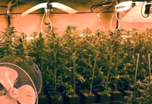 VELIKA AKCIJA ŠPANSKE POLICIJE: Pali kriminalci povezani sa kavačkim klanom, u vilama pronađeno pravo blago! VIDEO