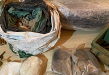 UHAPŠENI ALBACI KOJI SU DILOVALI KOKAIN I HEROIN U SRBIJI Jedan priveden kod Vrčina, drugi u Preševu! FOTO